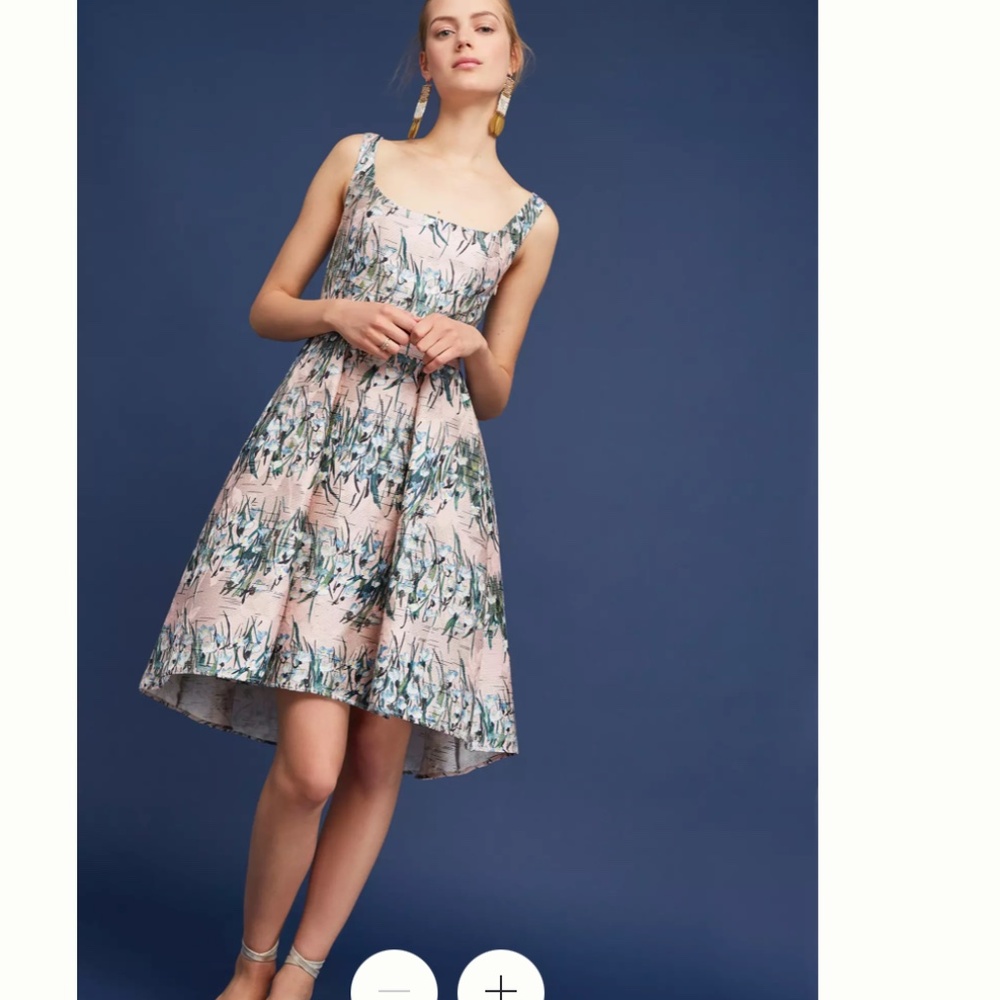 Eva Franco Floral Jacquard Dress Sz2